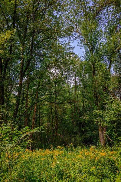Spaziergang an der Würm