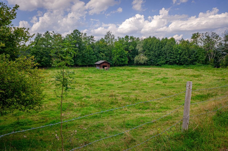 Spaziergang an der Würm