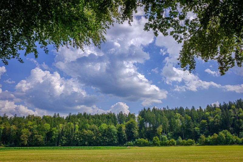 Spaziergang an der Würm