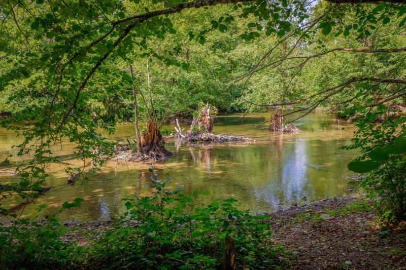 Spaziergang an der Würm