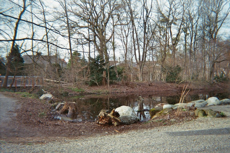 Weiher im Pasinger Stadtpark