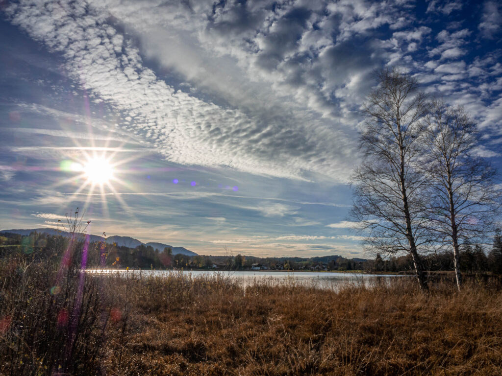 Auf dem Bild blickt man über das herbstbraune Gras an zwei Birken vorbei über den Bayersoiener See auf die gegenüber liegende Ortschaft Bad Bayersoien. Am blauen Himmel sind schöne Wolken und der Sonnenstern zu sehen.