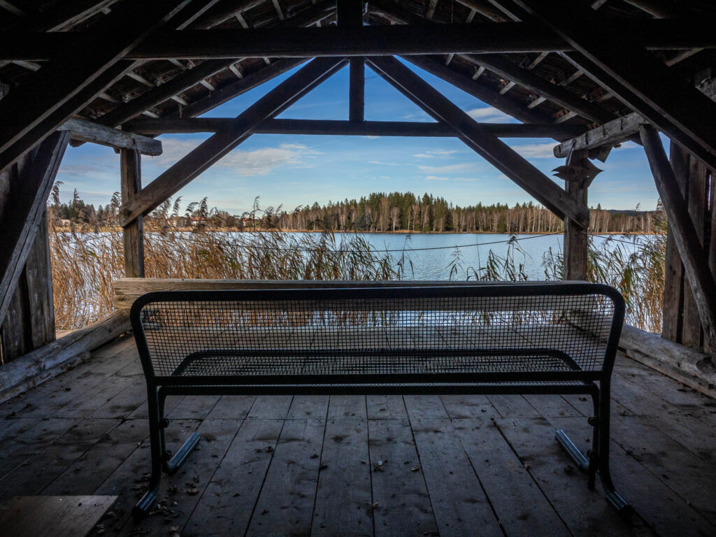 Ein Blick durch den Schilfgürtel aus dem Inneren der Schuhstation. Durch die offenen Front blickt man auf den Bayersoiener See und das gegenüberliegende bewaldete Ufer.