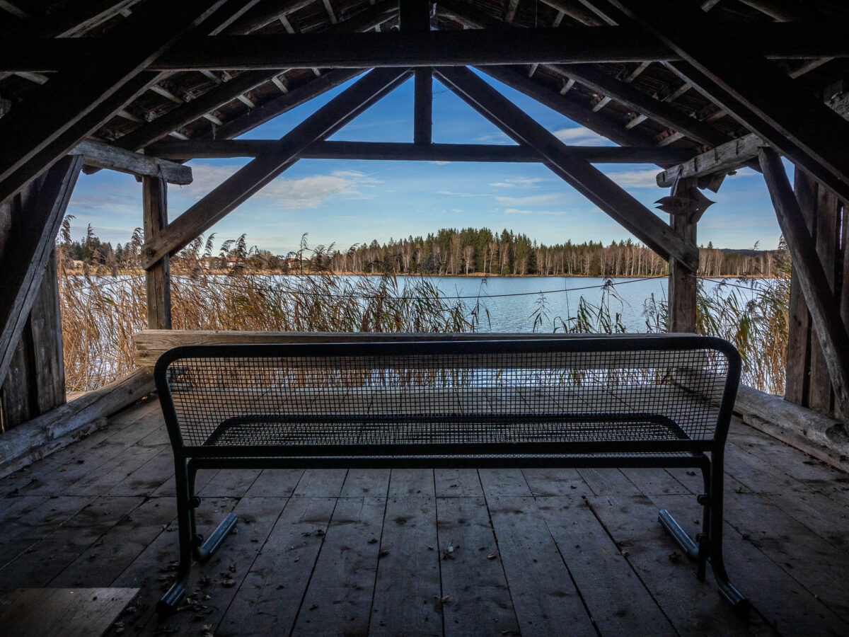 Ein Blick durch den Schilfgürtel aus dem Inneren der Schuhstation. Durch die offenen Front blickt man auf den Bayersoiener See und das gegenüberliegende bewaldete Ufer.