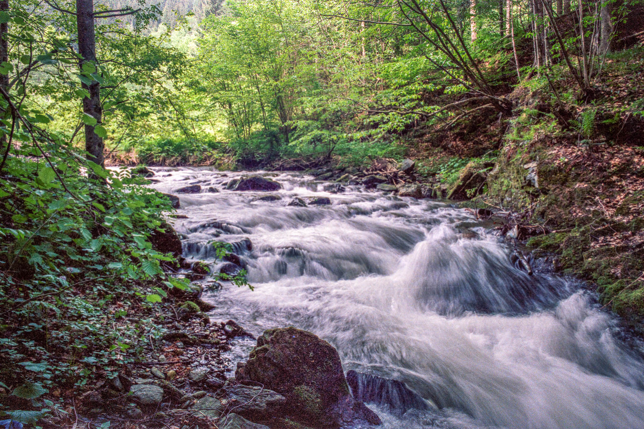Eines meiner ersten Bildern der analogen Fotografie. Ein auf Farbfilm fotografierter, von Bäumen eingerahmter Bachlauf. Durch die leichte Langzeitbelichtung schmiegt sich das Wasser sanft über die vielen Steine.